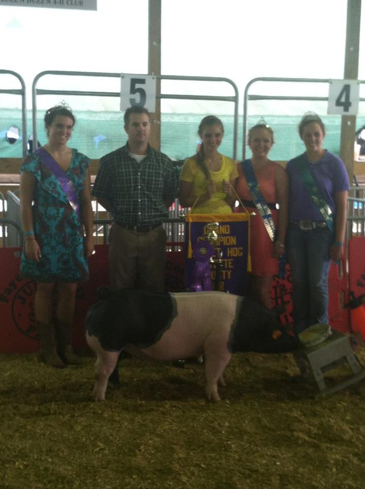 reiterman Feed and supply grand champion