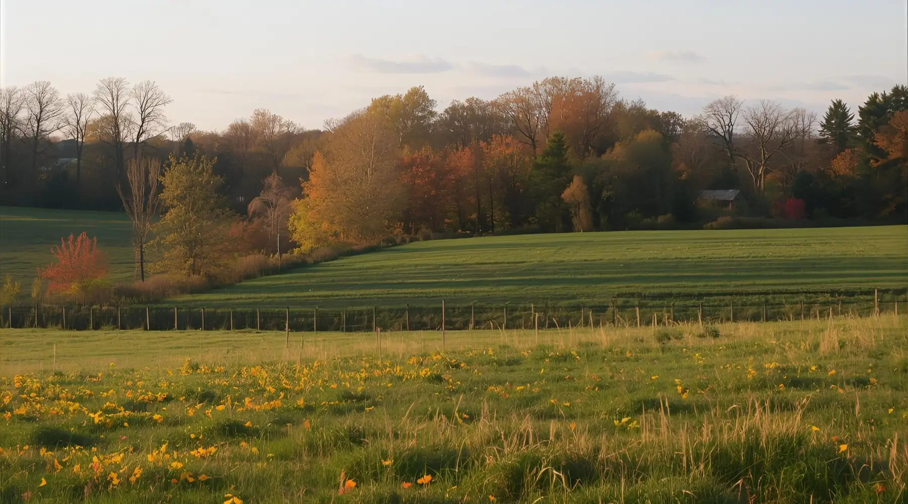 Fall pasture with lush green fields and golden foliage, perfect for 2025 seeding with Reiterman Feed products in Ohio