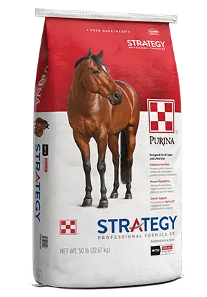 Purina Strategy feed for Madison County horses at Reiterman Feed & Supply